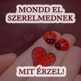 Mondd el szerelmednek mit érzel!